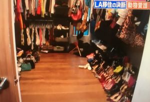 ローラのテレビ出ない理由がカッコいい ｌａ移住の素敵な自宅は Makealife