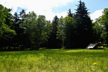 夏休み,おすすめ,穴場,茨城,子連れ,観光,ランキング