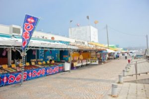 夏休み,おすすめ,穴場,茨城,子連れ,観光,ランキング