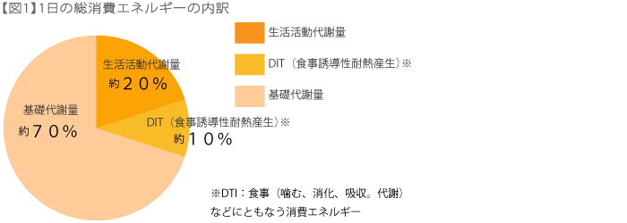アラフォー,腰回り,すっきり,ダイエット方法,3つ,意識