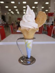 夏休み,おすすめ,穴場,茨城,子連れ,観光,ランキング